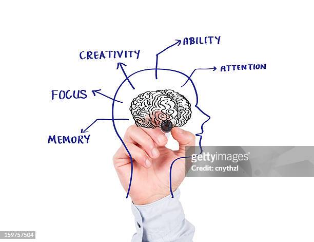 human brain concept on whiteboard - brain diagram colour stock pictures, royalty-free photos & images