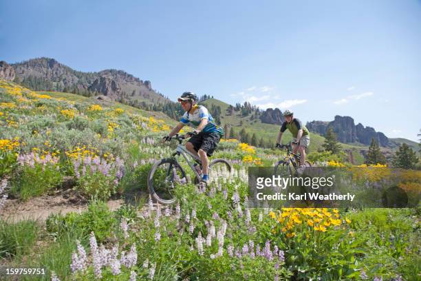 men mt biking - sun valley stockfoto's en -beelden