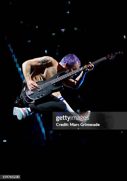 Flea from the Red Hot Chili Peppers performs live on stage at Big Day Out 2013 on January 20, 2013 in Gold Coast, Australia.