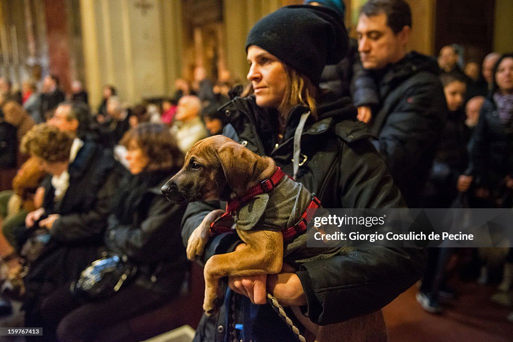 Annual Blessing Of Animals In Sant'Eusebio Church