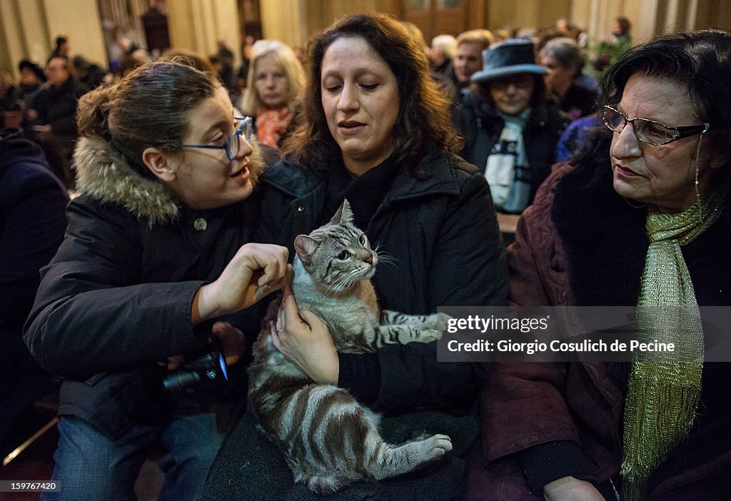 Annual Blessing Of Animals In Sant'Eusebio Church