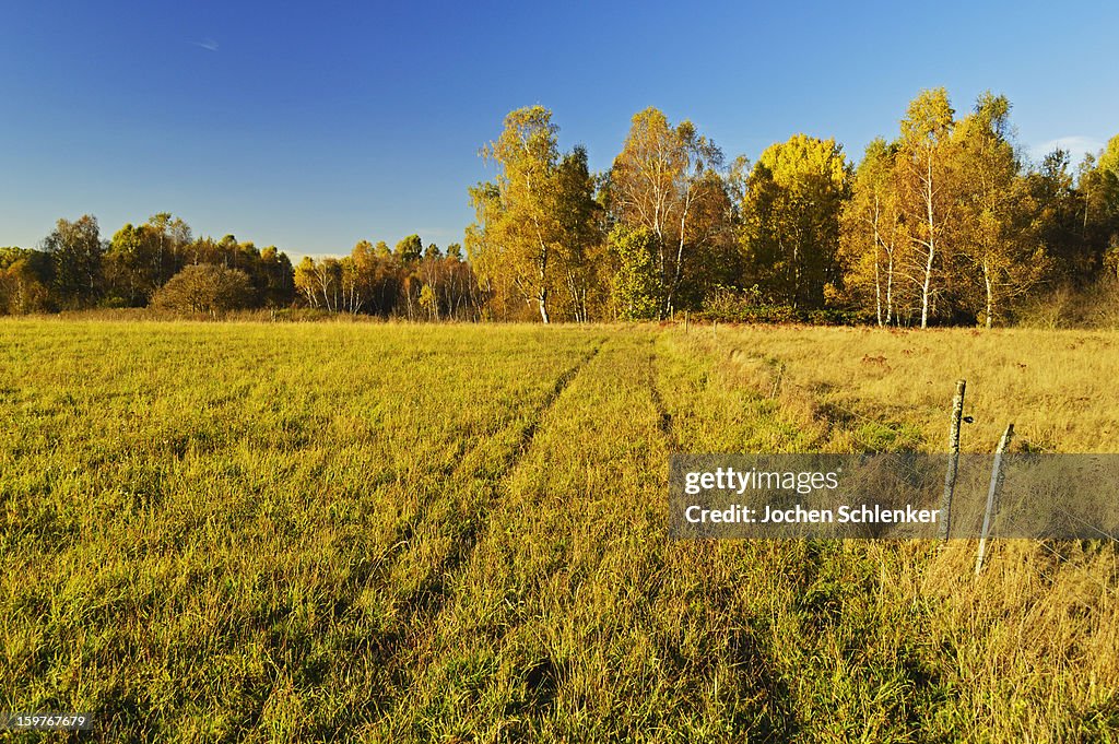 October Rural Sceans Rural Autumn Scene High-Res Stock Photo - Getty Images