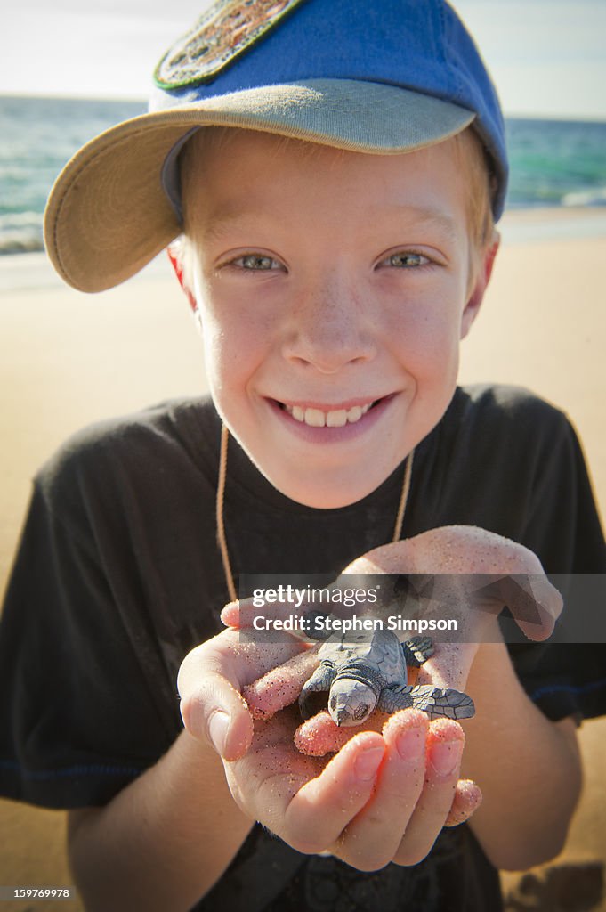 Boy about to release Pacific Green Sea Turtles