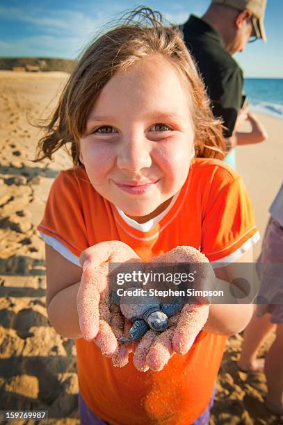 girl about to release pacific green sea turtles - playa la cachora stock pictures, royalty-free photos & images