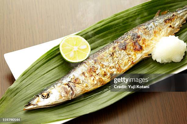 he burned pacific saury - saury stock pictures, royalty-free photos & images