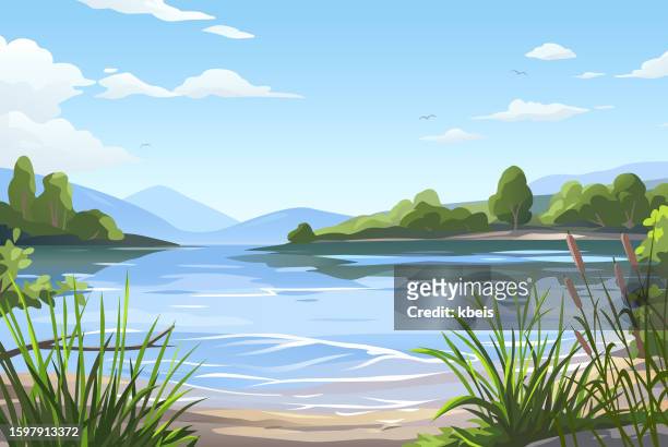 illustrations, cliparts, dessins animés et icônes de magnifique lac scène - roseau