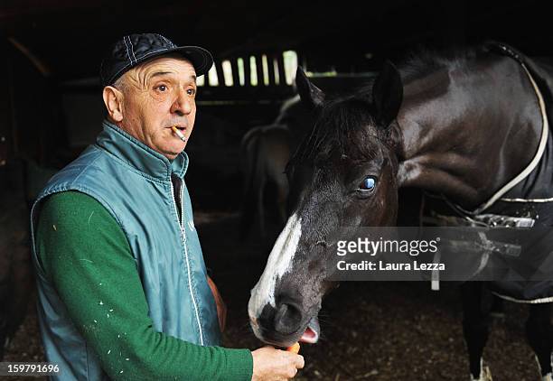 The groom feeds his blind racehorse Laghat after the race at Ippodromo San Rossore on January 20, 2013 near Pisa, Italy. Laghat is a ten-year-old...