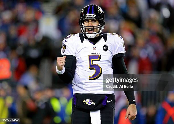 Joe Flacco of the Baltimore Ravens celebrates after a touchdown ran by Ray Rice in the second quarter against the New England Patriots during the...