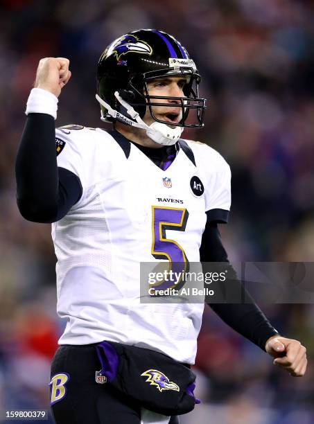 Joe Flacco of the Baltimore Ravens celebrates after throwing a touchdown pass to Anquan Boldin in the fourth quarter against the New England Patriots...