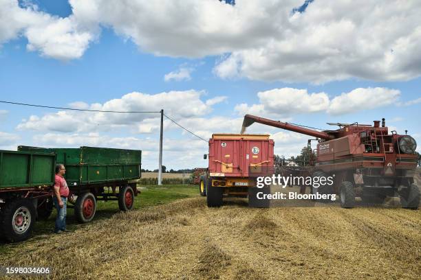 Combine harvester unloads harvested wheat grain into a trailer on a farm in the Lisowice district of Torun, Poland, on Friday, Aug. 11, 2023. Some of...