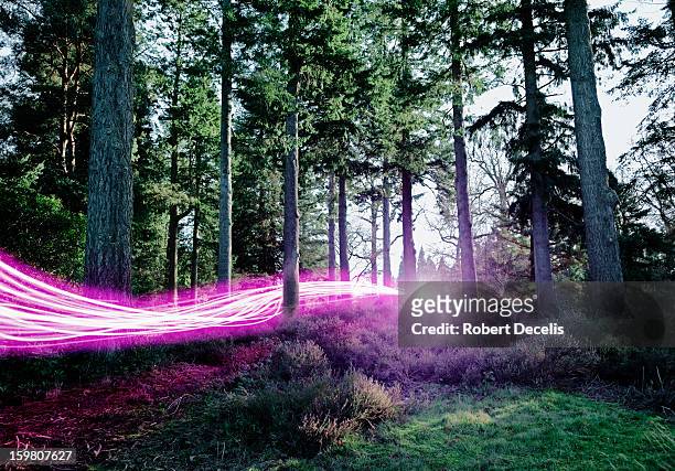light trails passing through woods. - rastros de luz fotografías e imágenes de stock