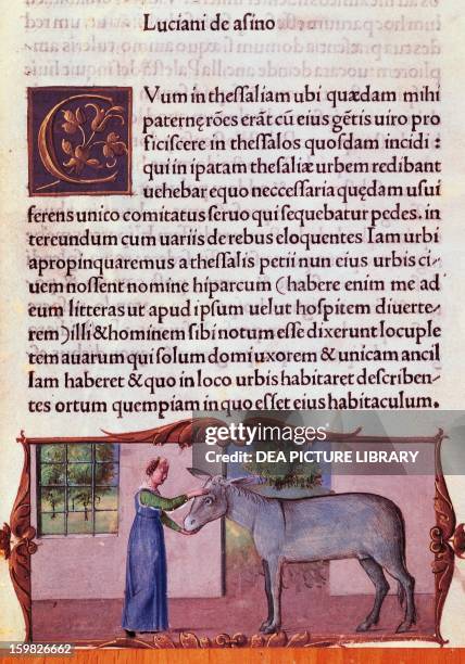 Apoleus Lucius Apuleius Photos and Premium High Res Pictures - Getty Images
