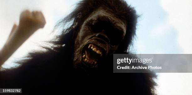 Giant gorilla in a scene from the film '2001: A Space Odyssey', 1968.