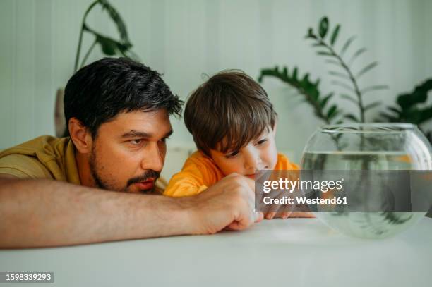 father and son looking at fish in bowl - home aquarium stock pictures, royalty-free photos & images