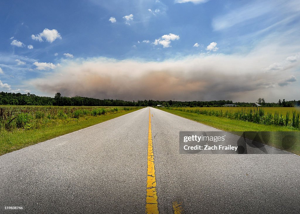 Forest Fire | Croatan National Forest, NC