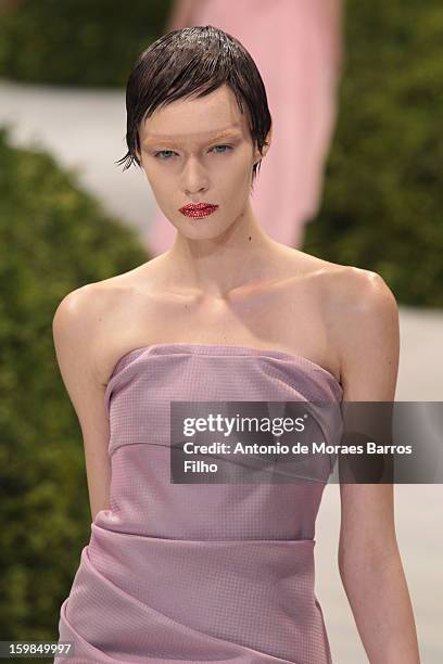 Model walks the runway during the Christian Dior Spring/Summer 2013 Haute-Couture show as part of Paris Fashion Week at on January 21, 2013 in Paris,...