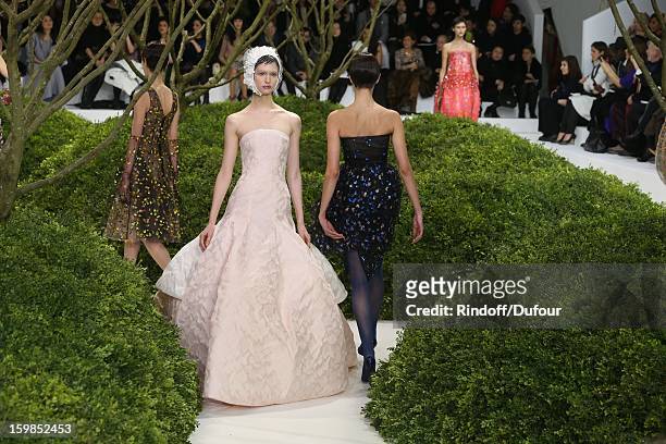 Model walks the runway during the Christian Dior Spring/Summer 2013 Haute-Couture show as part of Paris Fashion Week at on January 21, 2013 in Paris,...