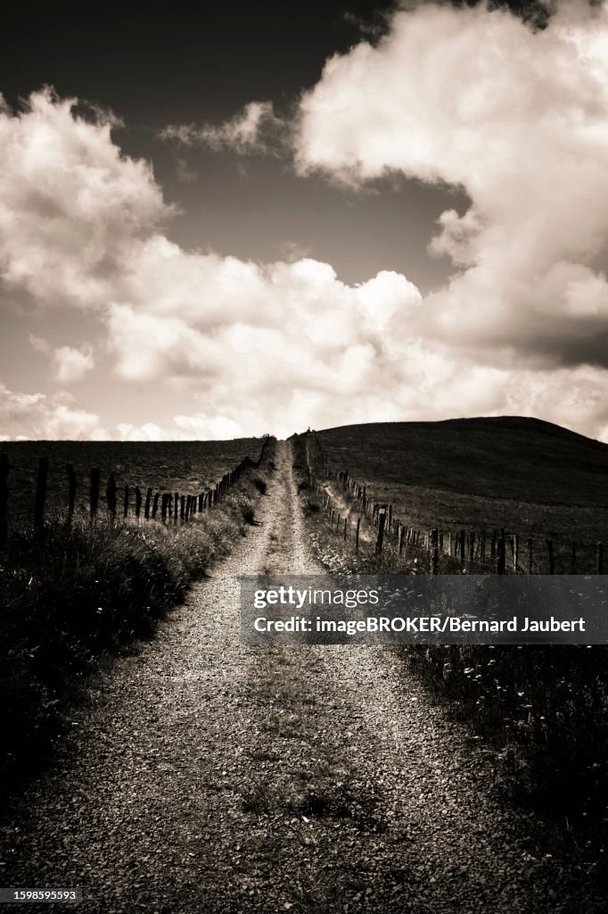 Path in Cezallier plateau, Auvergne volcanoes regional natural park, Puy de Dome department, Auvergne-Rhone-Alpes, France