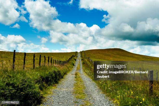 path in cezallier plateau, auvergne volcanoes regional natural park, puy de dome department, auvergne-rhone-alpes, france - bernard jaubert stock illustrations