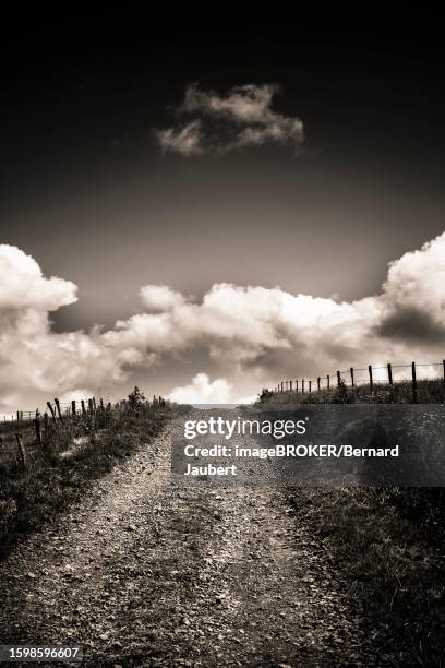 path in cezallier plateau, auvergne volcanoes regional natural park, puy de dome department, auvergne-rhone-alpes, france - bernard jaubert stock illustrations