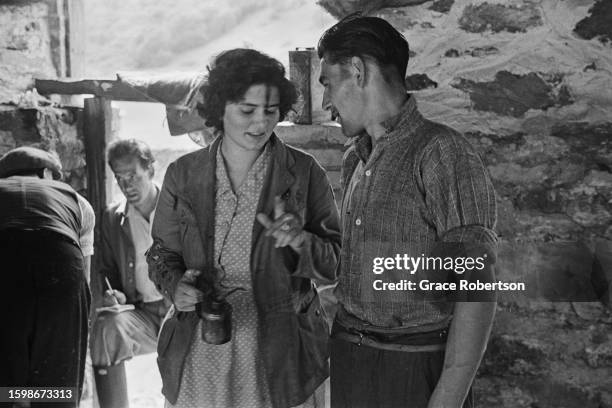 Farm worker waits to administer oral medicine for sheep during shearing season in Snowdonia, 1951. Picture Post - 5377 - Shearing Time In Snowdonia -...