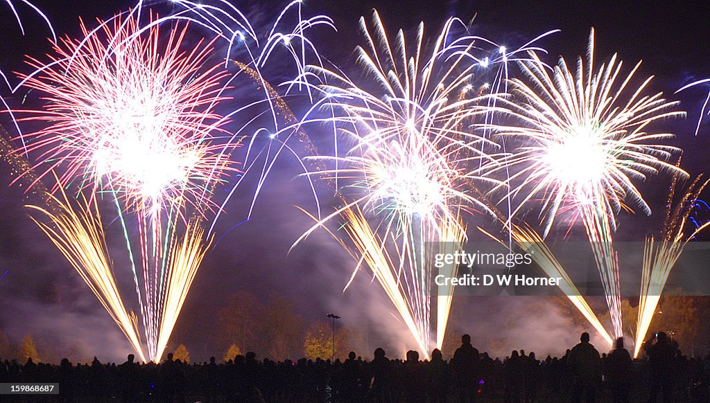 Bonfire Night Bouquet