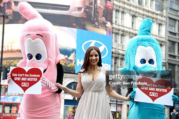 Lacey Banghard attends a photocall for PETA to encourage pet owners to have their cats and dogs sterilised at Picadilly Circus on January 22, 2013 in...