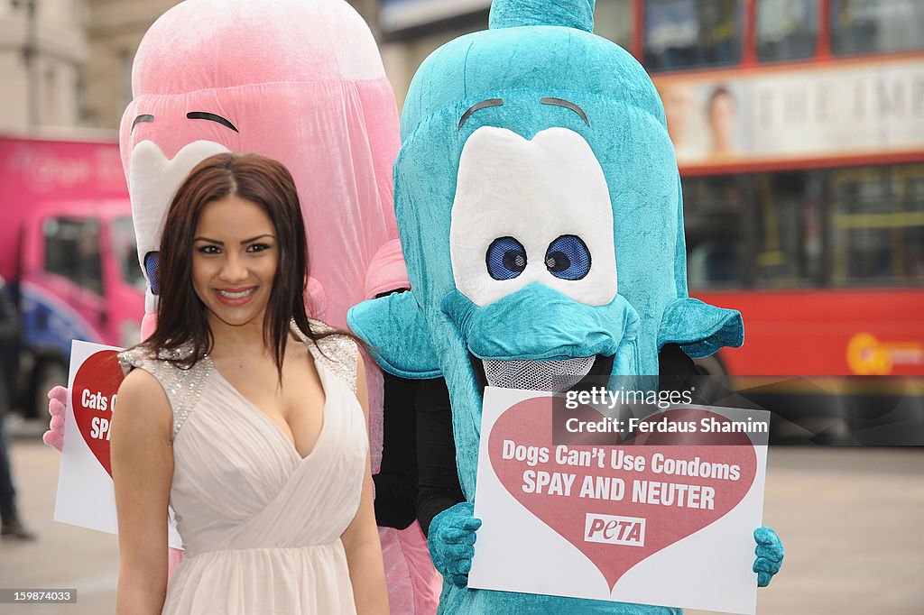 PETA & Lacey Banghard Call For Cat & Dog Birth Control