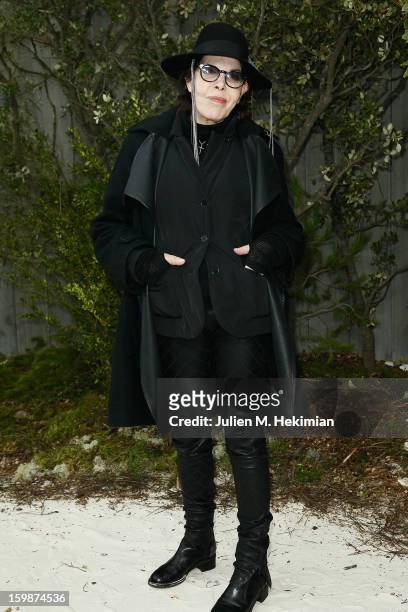 Dani attends the Chanel Spring/Summer 2013 Haute-Couture show as part of Paris Fashion Week at Grand Palais on January 22, 2013 in Paris, France.