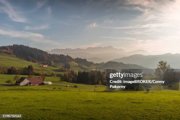 hilly mountain landscape in the appenzell alps in autumn, view of the alpstein mountains with saentis peak, appenzellerland, canton appenzell innerrhoden, switzerland - appenzell innerrhoden stock pictures, royalty-free photos & images