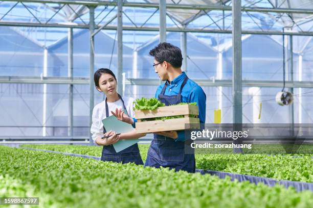 Lab Picker 107 Lab Picker Stock Photos, High-Res Pictures, and Images - Getty Images