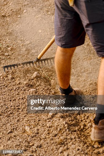 Farmers Raking Unrecognizable Farmer Raking The Land High-Res Stock Photo - Getty Images