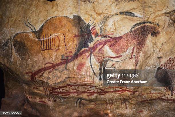 prehistoric cave painting - cave painting france stock pictures, royalty-free photos & images