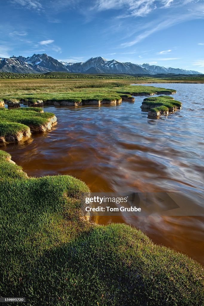 Fuzzy Grass at Alkali Pond