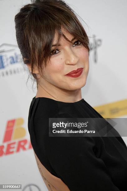 Veronica Sanchez attends Jose Maria Forque awards photocall at Canal theatre on January 22, 2013 in Madrid, Spain.