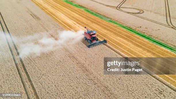 drone view of a combine harvester in an agricultural field - harvesting stock pictures, royalty-free photos & images