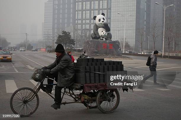Man rides a tricycle to transport coal through a panda sculpture during severe pollution on January 23, 2013 in Beijing, China. The air quality in...