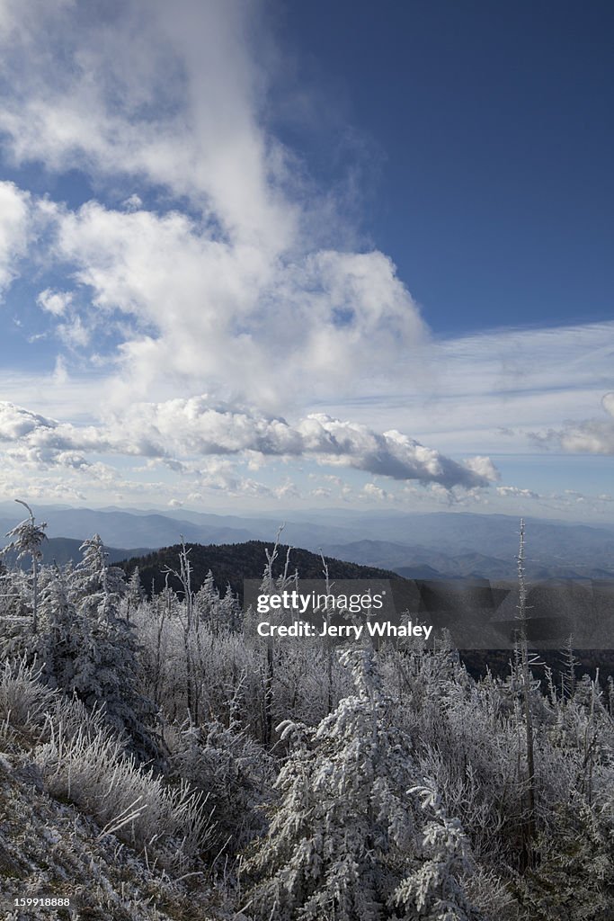 Hoar frost, Clingmans Dome