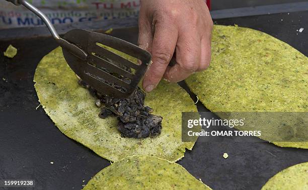 Veronica Mendoza cooks "huitlacoche" to make "quesadillas" with spinach and wheat bran tortillas at her restaurant in Mexico City on January 22,...