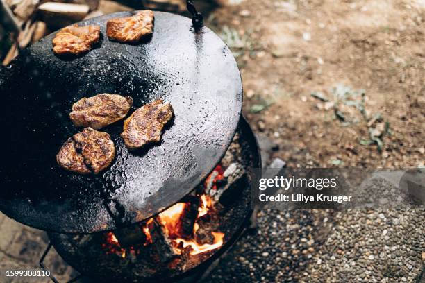 grill with roasting pork steaks. - camping with bone fire stock-fotos und bilder