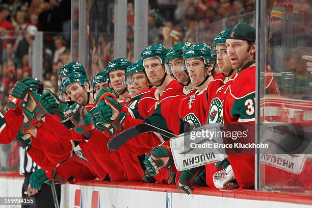 The Minnesota Wild celebrates after scoring a goal against the Colorado Avalanche during the game on January 19, 2013 at the Xcel Energy Center in...