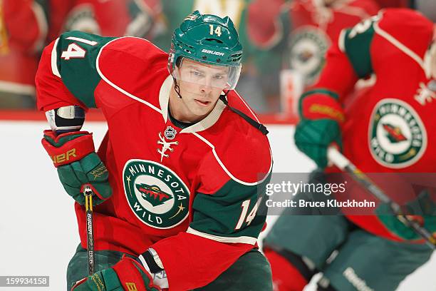 Darroll Powe of the Minnesota Wild skates during warmups prior to the game against the Colorado Avalanche on January 19, 2013 at the Xcel Energy...