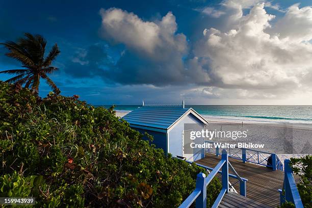 harbour island, bahamas, pink sands beach - harbor island bahamas stock pictures, royalty-free photos & images