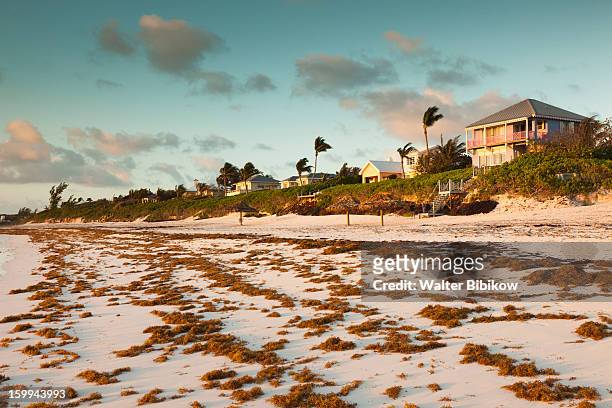 harbour island, bahamas, pink sands beach - dunmore town stock pictures, royalty-free photos & images