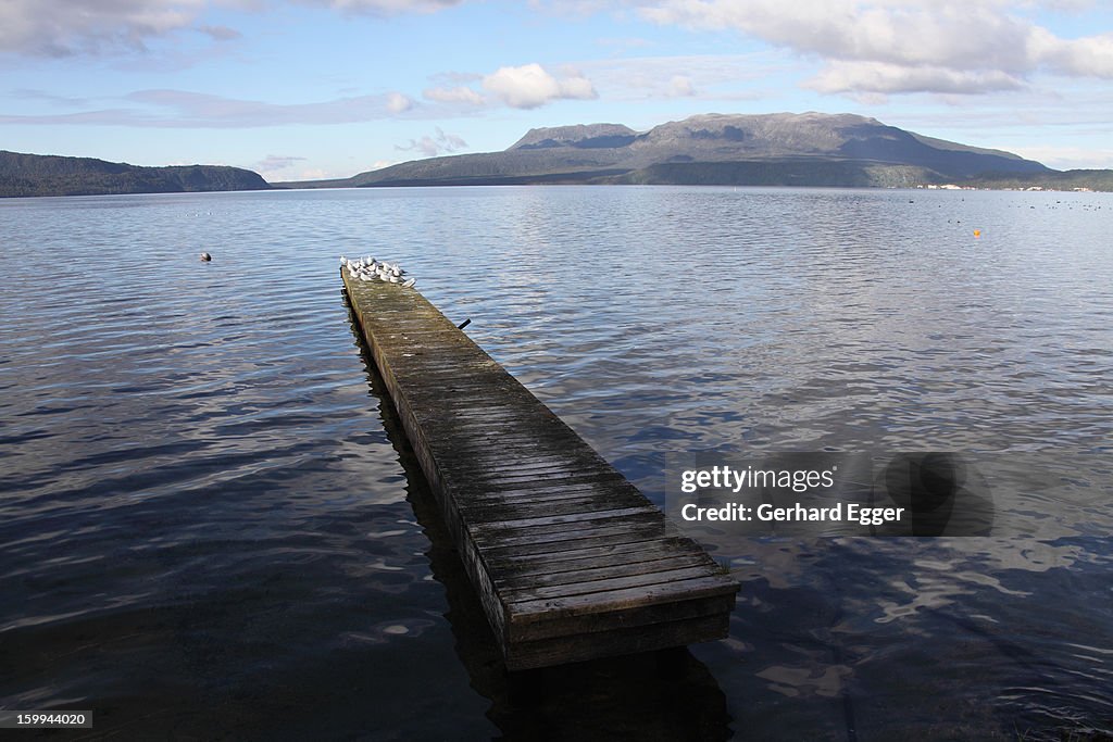 Jetty on Lake Tarawera