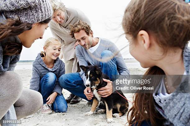 happy family with grandmother and dog on the beach - family dog stock-fotos und bilder