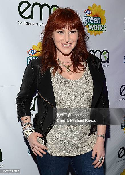 Singer Tiffany attends Celebrities and the EMA Help Green Works Launch New Campaign at Sur Restaurant on January 23, 2013 in Los Angeles, California.
