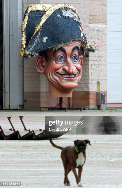 Dog passes by a last year's giant carnival mask showing French politician Nicolas Sarkozy at the Cittadella del Carnevale, the workshops where the...