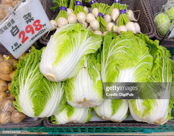 chinese cabbages produced in ibaraki - chinese cabbage stock pictures, royalty-free photos & images
