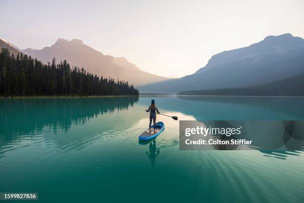 paddleboarding emerald lake at sunrise in yoho national park - canadese rocky mountains stockfoto's en -beelden